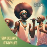 SOA Deejays - It's My Life