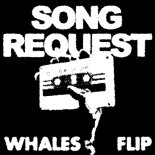 Ray Volpe - SONG REQUEST (Whales Flip)