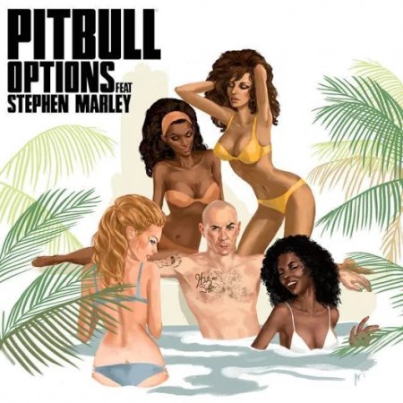 Pitbull feat. Stephen Marley - Options (Chuckie Remix)