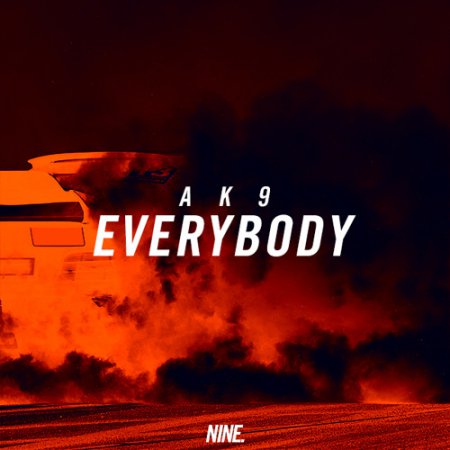 ak9 - Everybody (Extended Mix)
