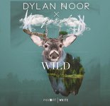 Dylan Noor Feat Pnvl - Wild (Original Mix)