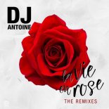 Dj Antoine - La Vie en Rose (Paolo Ortelli Extended Remix)