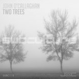 John O'Callaghan - Two Trees (Original Mix)