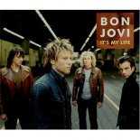 Bon Jovi - It's My Life (C. Baumann Remix Edit)