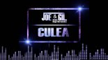 Joe Berte' Ft. Dago Hernandez - Culea (Club Mix)