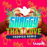 Shaggy - That Love (Tropixx Remix)