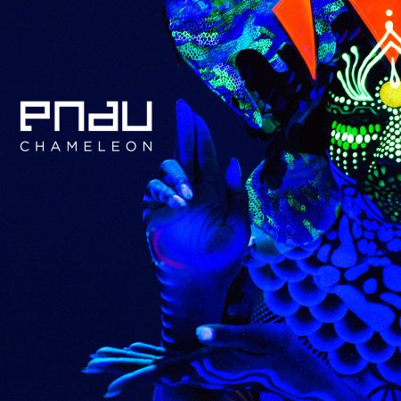 Pnau - Chameleon (Checkers & Fresh Kiwi Bootleg)