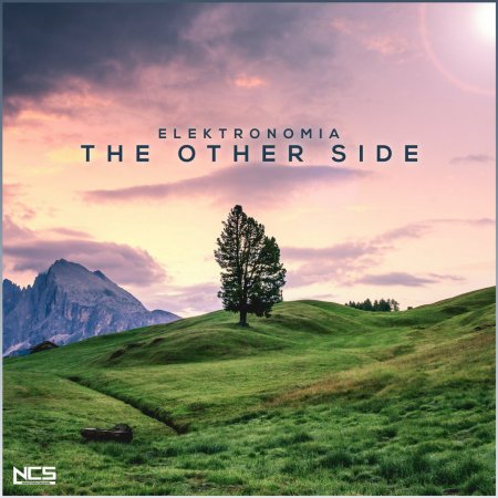 Elektronomia - The Other Side (Original Mix)