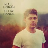 Niall Horan - Slow Hands (Paul Gannon Bootleg)