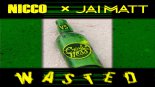 NICCO & Jai Matt vs Erick Ness - Wasted (Radio Edit)