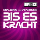 DualXess ft. PeachTree - Bis es kracht (Snickboy Remix Edit)