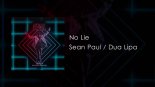 Sean Paul ft. Dua Lipa - No Lie (Theemotion Remix)