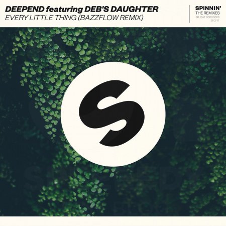 Deepend feat. Deb's Daughter - Every Little Thing (Bazzflow Extended Remix)