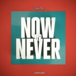 Urban She - Now or Never (FluxStyle Remix Edit)