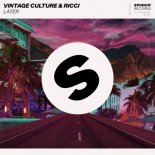 Vintage Culture & Ricci - Later (Original Mix)