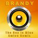 Brandy & Monica - The Boy Is Mine (Amice Remix)