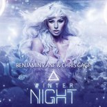 Benjamin Zane & Chris Cage - Winter Night (Theemotion Remix)