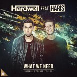 Hardwell feat. Haris - What We Need (Instrumental Mix)