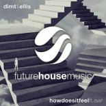 DLMT & Ellis ft. AWR - How Does It Feel (Extended Mix)