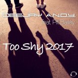 DeeJay A.N.D.Y. ft. Pit Bailey - Too Shy 2017 (Housefly Remix)