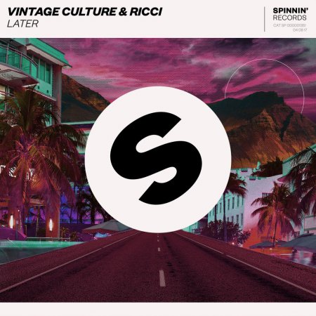 Vintage Culture & Ricci - Later (Extended Mix)