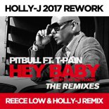 Pitbull feat. T-Pain - Hey Baby (Reece Low & Holly-J Remix)