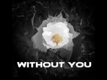 Avicii ft Sandro Cavazza - Without You (Caspenberg Remix)