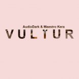 AudioDark & Maestro Kera - VULTUR (Original Mix)