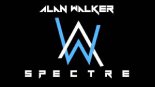 Alan Walker - The Spectre (LUM!X Remix)