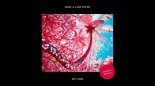 Zedd & Liam Payne - Get Low [Kuuro Remix]
