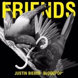 Justin Bieber Ft. Bloodpop - Friends (Kane Kirby Bootleg)