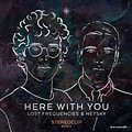 Lost Frequencies & Netsky - Here With You (Stereoclip Remix)