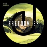 Olly James - Drop It (Original Mix)