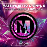 Massive Ditto & Vinyl S Feat.Caro - What Else (Reece Low Remix)