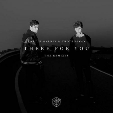 Martin Garrix & Troye Sivan - There For You (Brohug Extended Remix)
