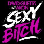 David Guetta Feat. Akon - Sexy Bitch (Ilkay Sencan Remix)