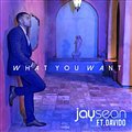 Jay Sean & Davido - What You Want