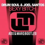 Drum Soul & Joel Santos - Sexy Bitch (ADX & MarQ Bootleg)
