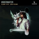 KSHMR ft. Sonu Nigam - Underwater (Original Mix)