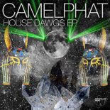 CamelPhat - Magic Stick (Original Mix)