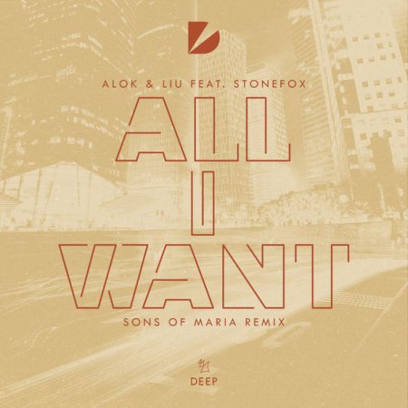 Alok & Liu feat. Stonefox - All I Want (Extended Mix)