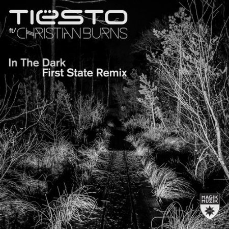 Tiesto feat. Christian Burns - In the Dark (First State Extended Remix)