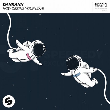 Dankann - How Deep Is Your Love (Original Mix)