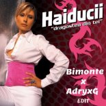 Haiducii - Dragostea Din Tei (Bimonte & AdryxG Edit)