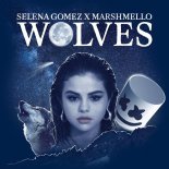 Selena Gomez & Marshmello - Wolves ( Daniel J Remix )