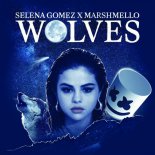 Marshmello feat. Selena Gomez - Wolves (Skyfall Bootleg)