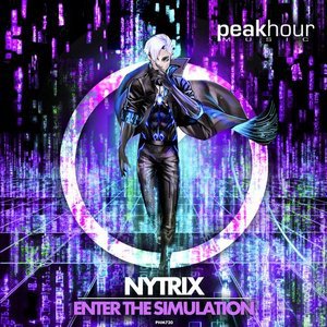 Nytrix - Enter The Simulation (Original Mix)