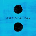 Ed Sheeran - Shape Of You (Skyfall x Rkay Bootleg)