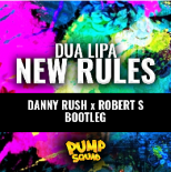 Dua Lipa - New Rules (Danny Rush X Robert S Bootleg)