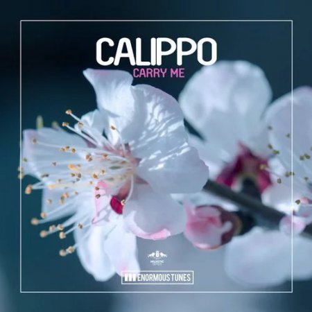 Calippo - Into the Beat (Original Club Mix)